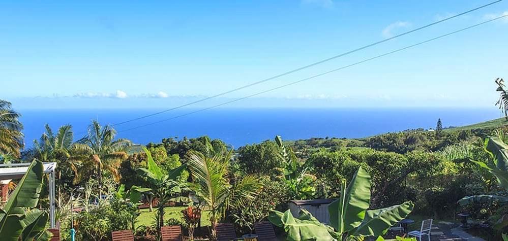 L'Escapade Creole Jacuzzi Privatif Bungalow Bananier Saint-Joseph Buitenkant foto